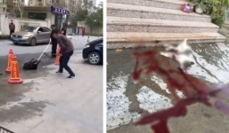 Trung Quốc: Hàng loạt chó hoang bị đánh đập, dìm nước giữa ban ngày khiến dư luận phẫn nộ